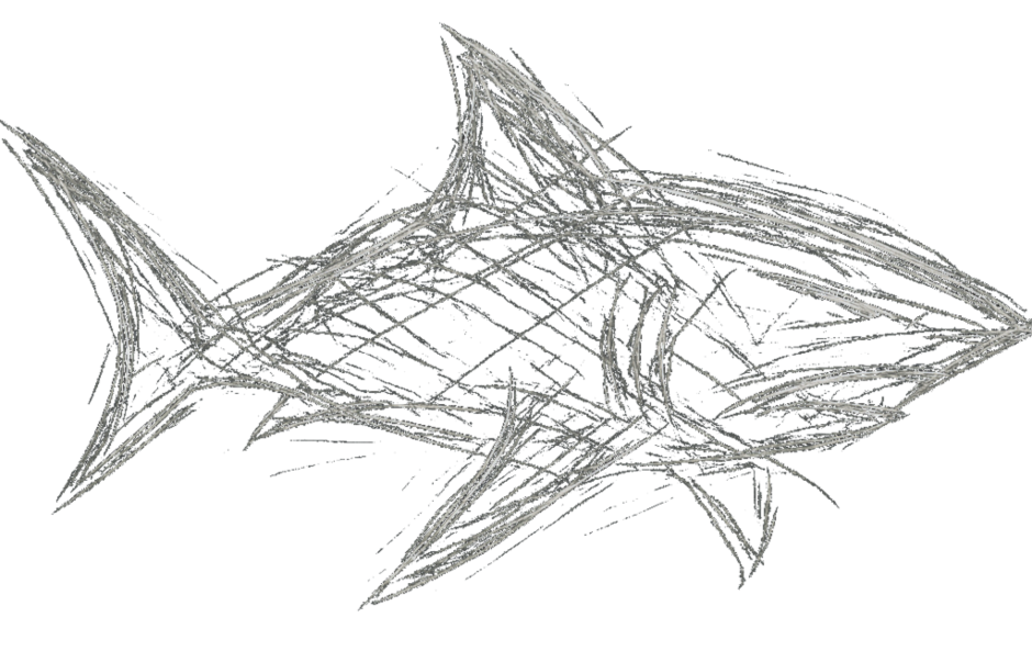 Abstract shark line illustration